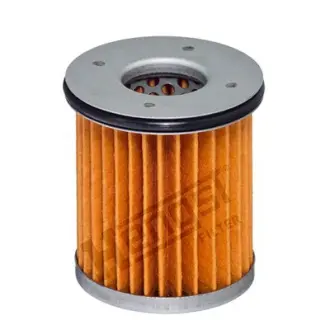 (HENGST) hengst EG1096H