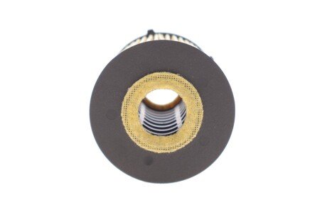 Масляный фильтр hengst E825HD265