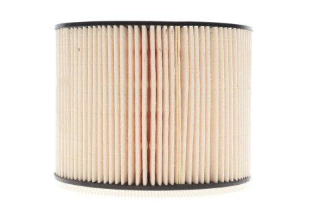 Топливный фильтр hengst E425KPD219