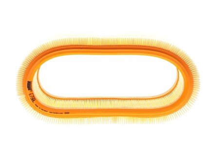 Повітряний фільтр hengst E798L