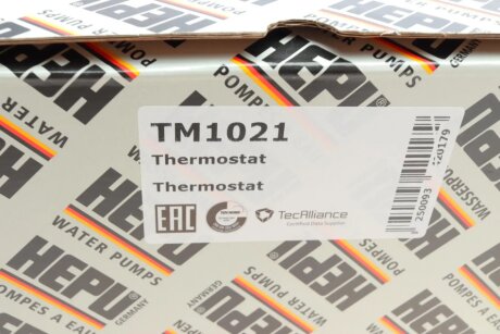 Термостат hepu TM1021