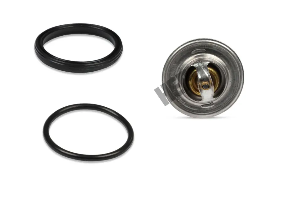 Термостат hepu TM1305