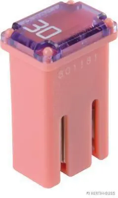 Запобіжник herth+buss 50295355