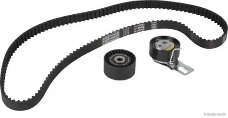 Роликовий модуль натягувача ременя (ролик, ремінь) Herth+Buss J1112052