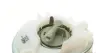 Насос топливный hitachi 133401