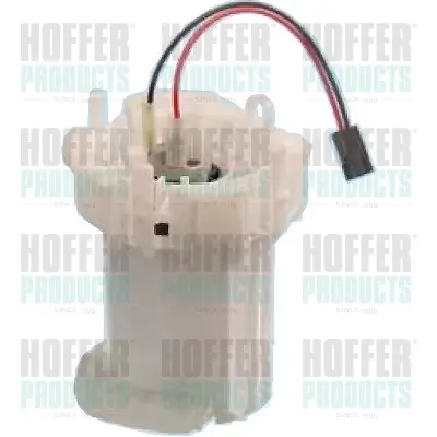 Паливний насос з фільтром HOFFER 7506919