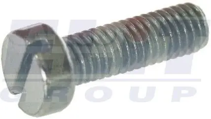 Болт з фігурною головкою HS cargo 190546