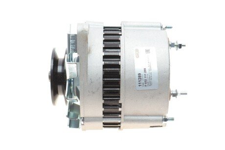 Генератор (CARGO) hs cargo F032111289