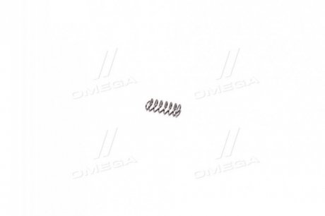 Пружина (CARGO) hs cargo 134263