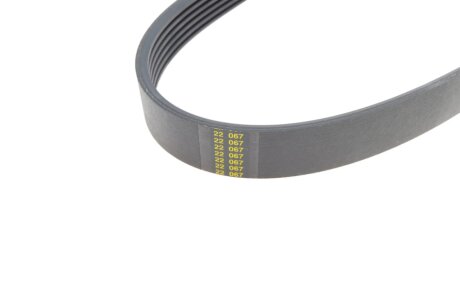 Ремінь (поліклиновий) hutchinson 2498K6