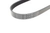 Ремінь (поліклиновий) hutchinson 716SK5