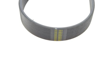 Ремінь (поліклиновий) hutchinson 800K6