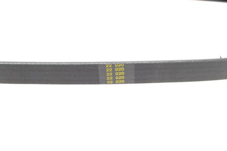 Ремiнь клиновий hutchinson 810K4