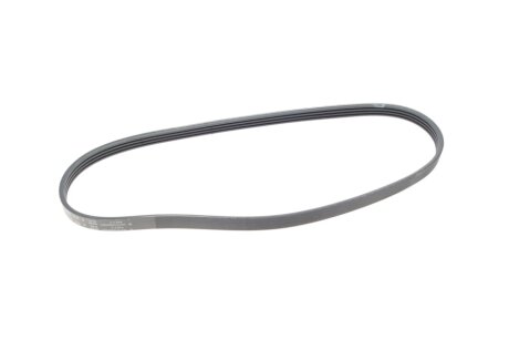 Ремiнь клиновий hutchinson 810K4