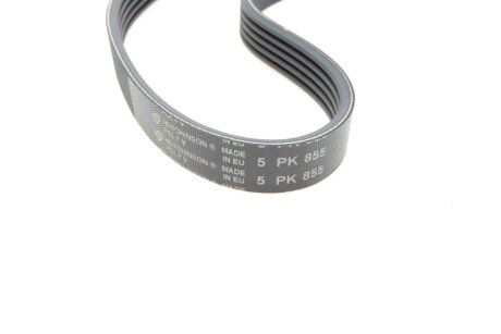 Ремінь (поліклиновий) hutchinson 855K5