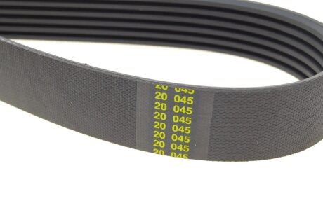 Комплект ремня hutchinson KHV242