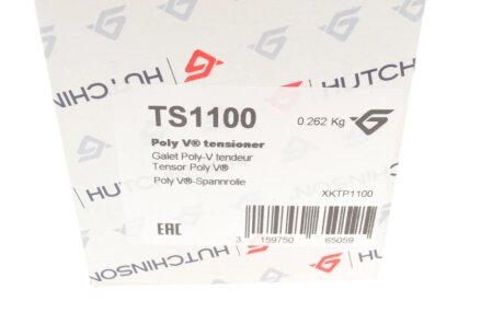 Ролик натяжний ременя генератора hutchinson TS1100