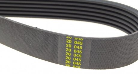 Комплект ремня hutchinson KHV242