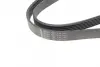 Комплект ремня hutchinson KHV 245