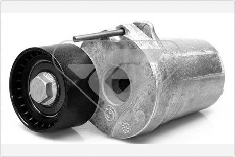 Натяжитель ремня hutchinson T0073