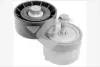 Натяжитель ремня Hutchinson T0208 (фото 1)