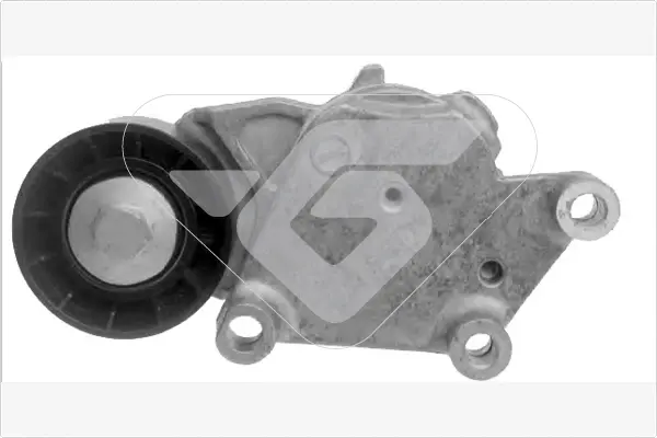 Натяжитель ремня Hutchinson T0221 (фото 1)