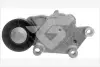 Натяжитель ремня Hutchinson T0221 (фото 1)