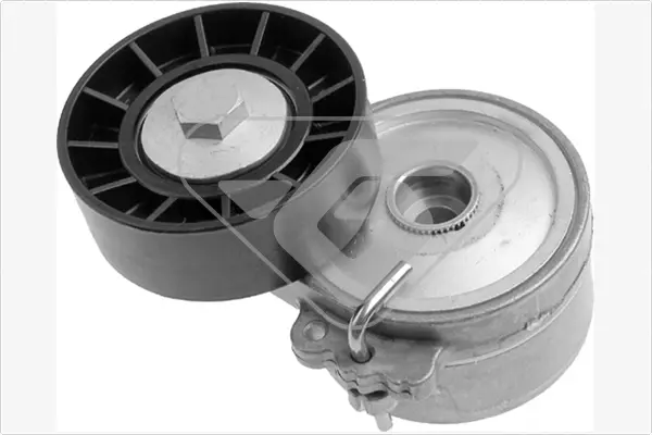 Натяжитель ремня Hutchinson T0306 (фото 1)