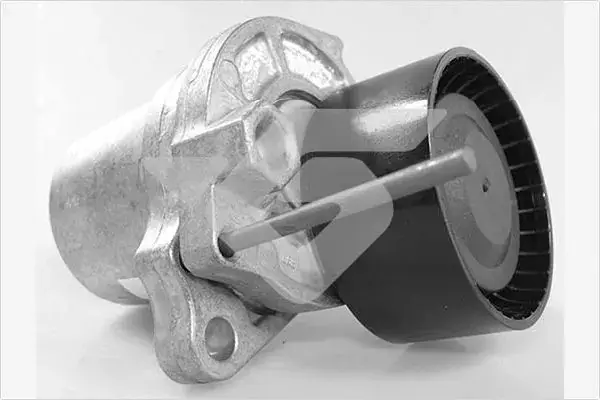 Натяжитель ремня Hutchinson T0690 (фото 1)