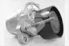 Натяжитель ремня Hutchinson T0690
