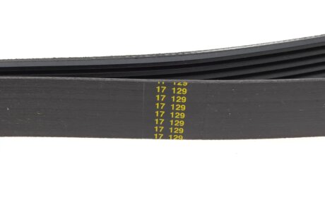 Привідний ремінь генератора hutchinson 1488K6