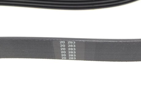 Привідний ремінь генератора hutchinson 875K5