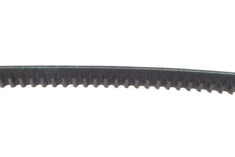 Привідний ремінь генератора hutchinson AV119LA876