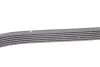 Ремень генератора hutchinson 1020 KA 6