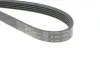 Ремень генератора hutchinson 1085 K 5