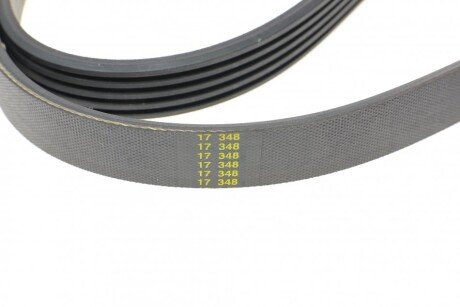 Привідний ремінь генератора hutchinson 1094K5