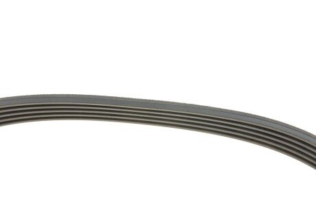 Приводной ремень генератора hutchinson 1135K5