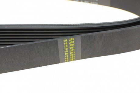 Привідний ремінь генератора hutchinson 1173K8