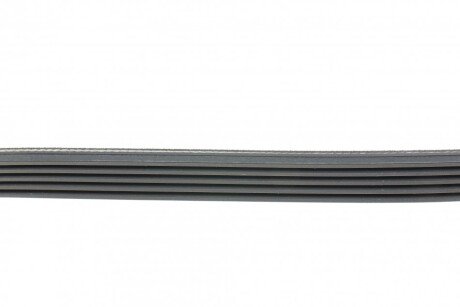 Приводной ремень генератора hutchinson 1175K5