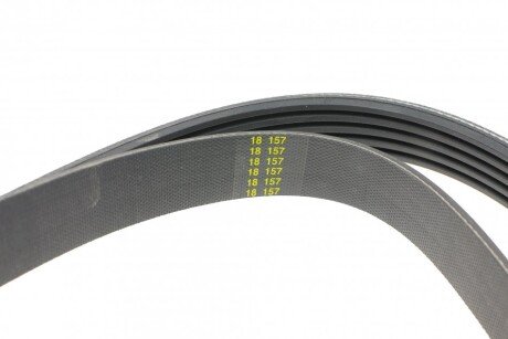 Приводной ремень генератора hutchinson 1175K5