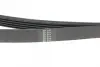 Ремень генератора hutchinson 1236SK5