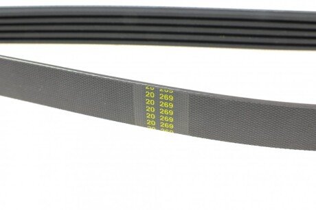 Приводной ремень генератора hutchinson 1237K5