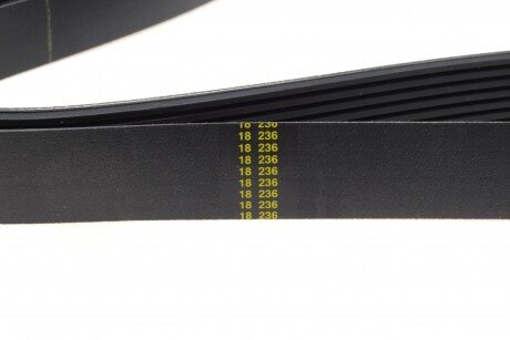 Приводной ремень генератора hutchinson 1295K7