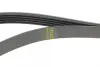 Ремень генератора hutchinson 1310K5