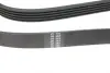 Ремень генератора hutchinson 1335 K 5