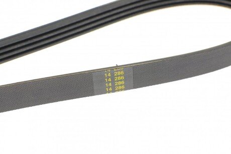 Приводной ремень генератора hutchinson 1389K4