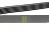 Ремень генератора hutchinson 1479 K 6