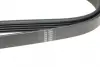 Ремень генератора hutchinson 1640 K 5