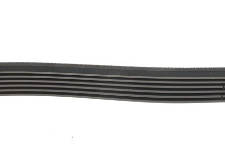 Приводной ремень генератора hutchinson 1682K6