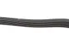 Ремень генератора hutchinson 1775 K 6